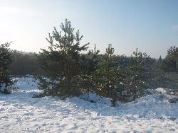 zdjęcie nr 19