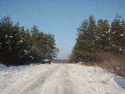 zdjęcie nr 20
