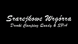 zdjęcie nr 9