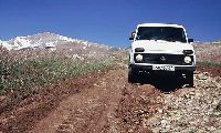 Fotka nr 5 z 10