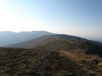zdjęcie nr 10