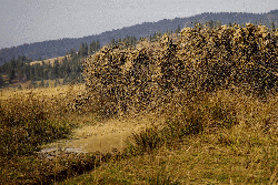 Off-road w ukrainie