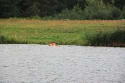 zdjęcie nr 39