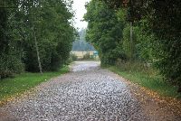 zdjęcie nr 15