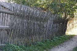 zdjęcie nr 9